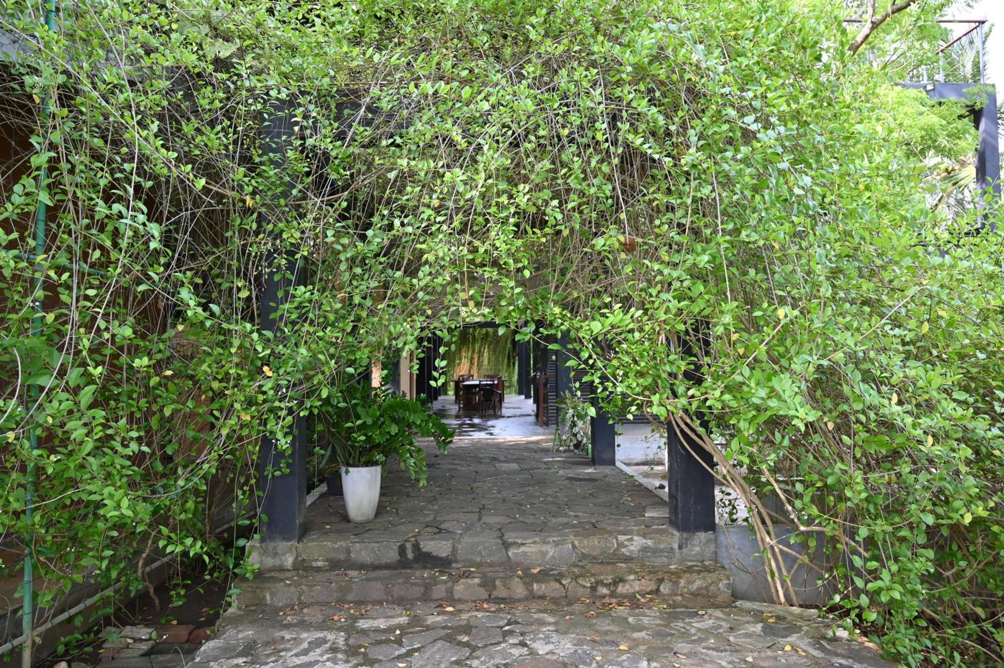 Breezy Lake Tissamaharama Exterior photo